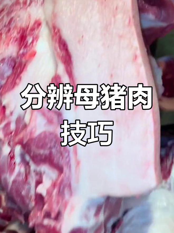 如何辨别母猪肉与好肉,颜色暗红、纤维硬是关键