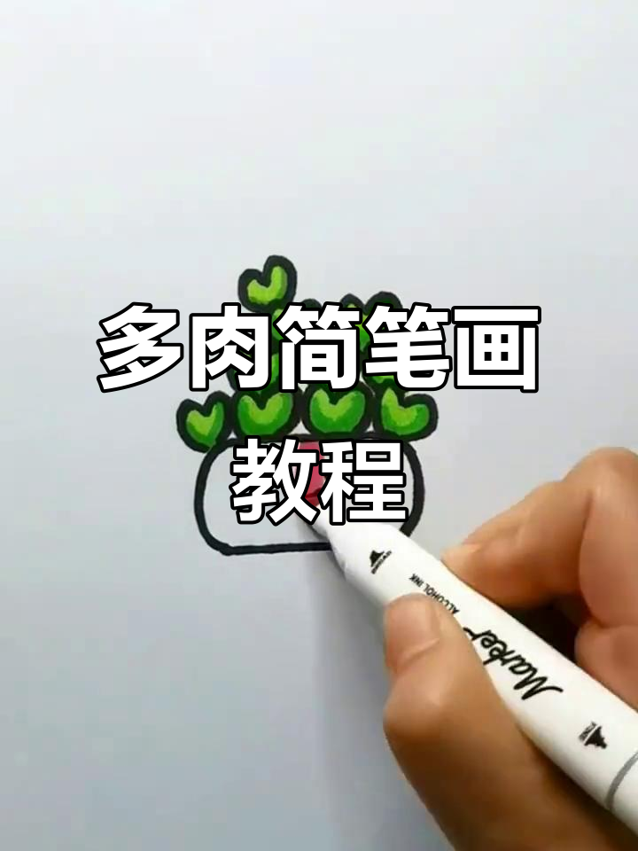 轻松画出可爱多肉植物，步骤简单又有趣