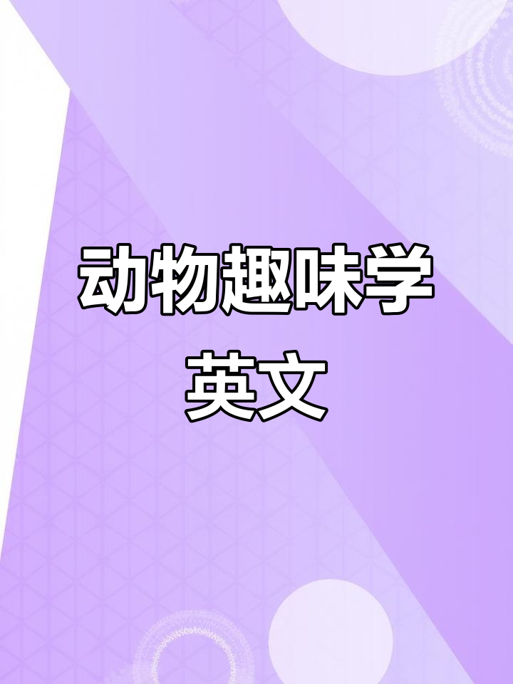萌宠学英语,亲子互动乐趣多!