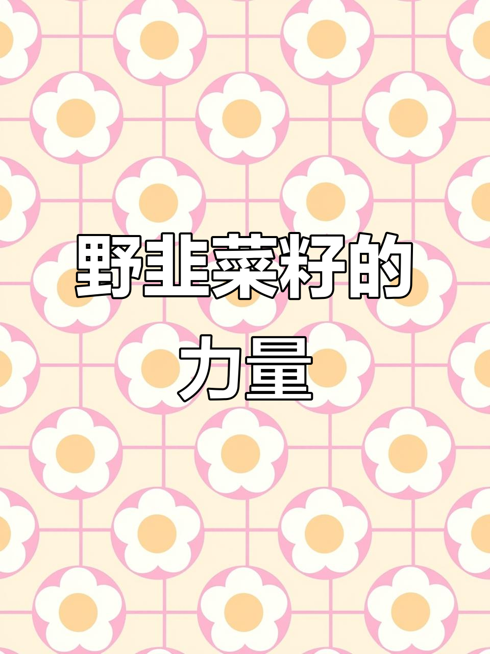 野韭菜籽的惊人功效,自由的味道更强大