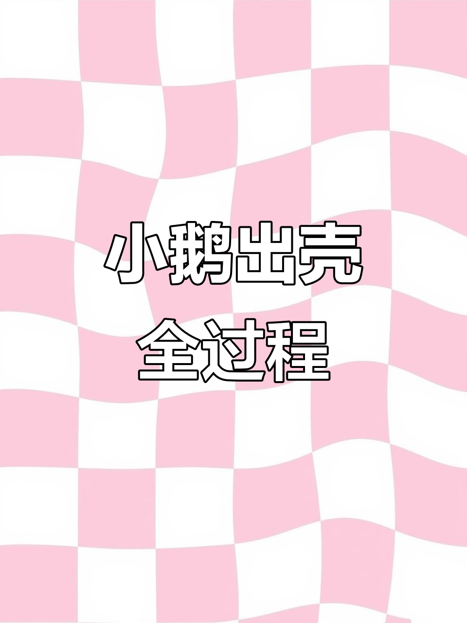 30天辛苦孵化,小鹅终于破壳而出!