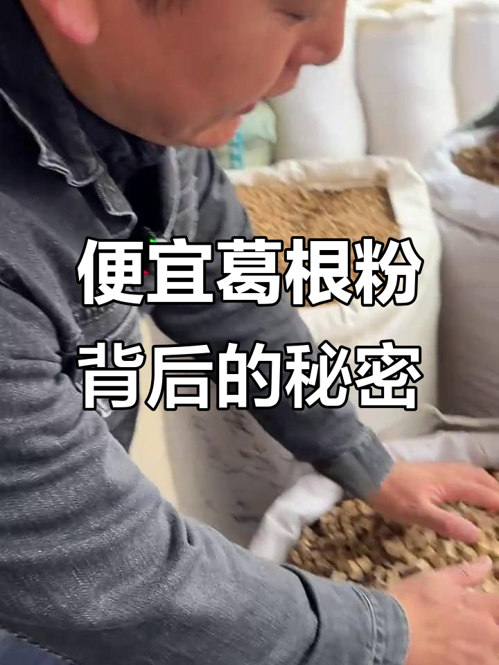 葛根粉价格暴跌?背后真相竟是假货泛滥!