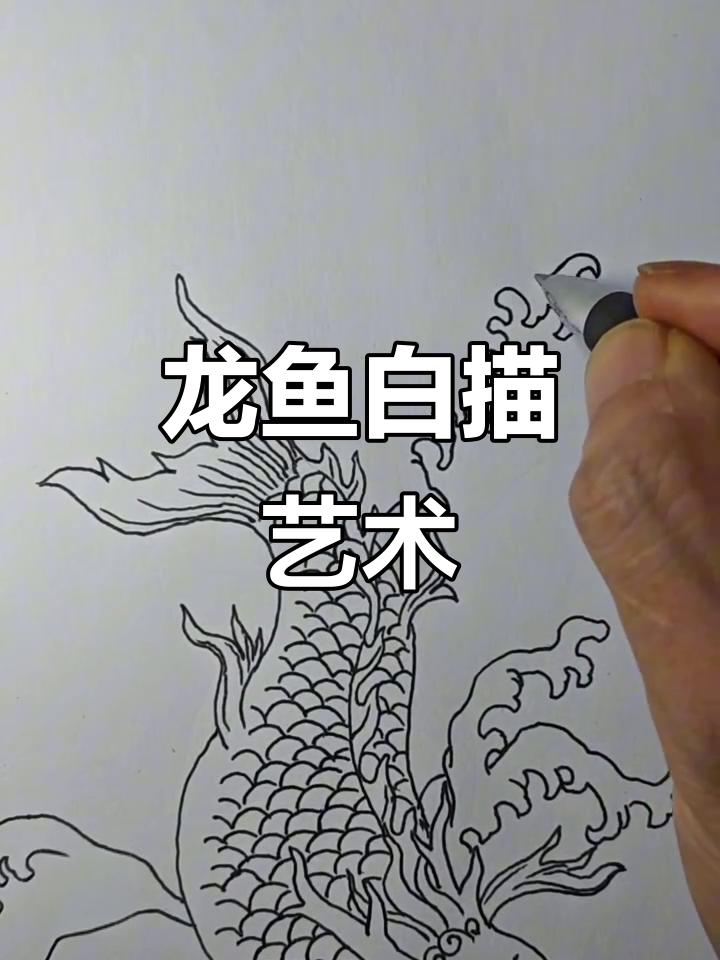龙鱼白描：灵魂画手笔下的神秘之美