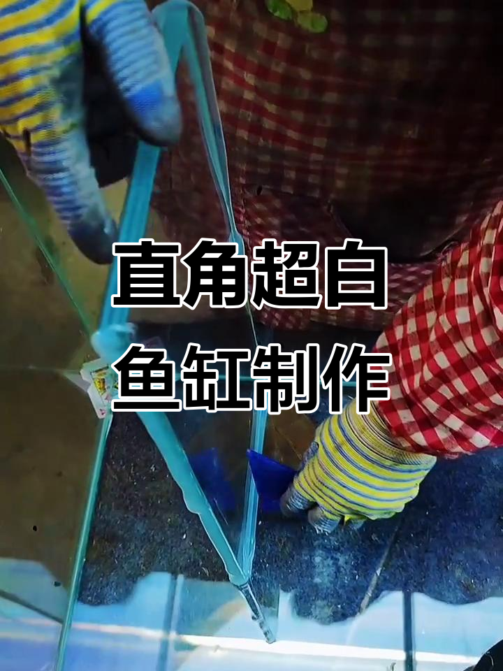 超白鱼缸制作全攻略：直角溢流设计与DIY技巧