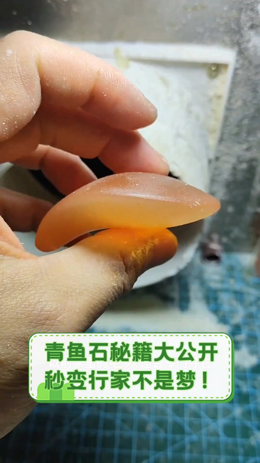 青鱼石秘籍大公开,秒变行家不是梦!