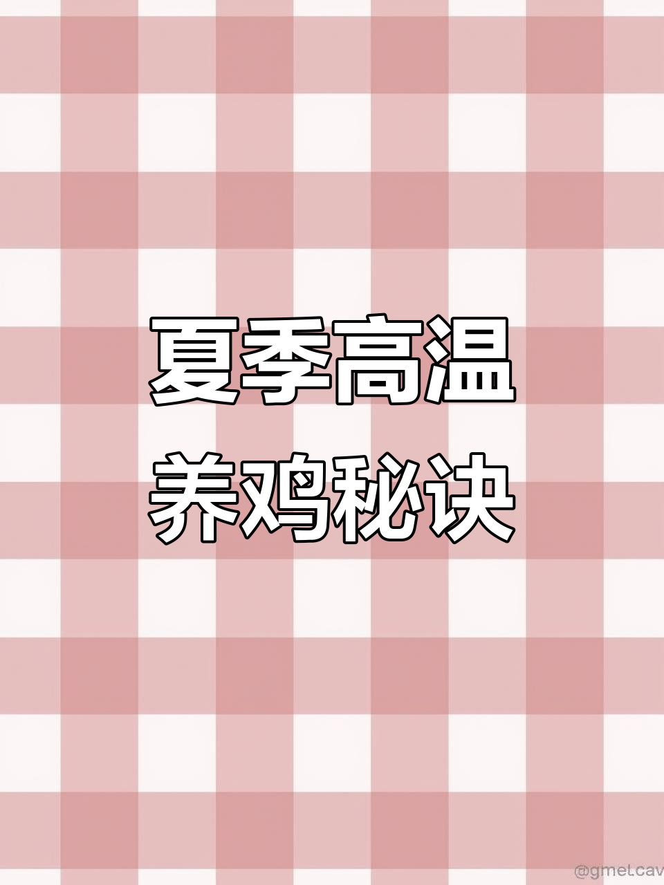高温天气下的养鸡技巧,网床养殖效果显著