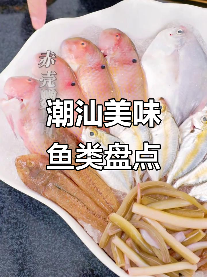 潮汕鱼菜大揭秘:这些鱼肉质鲜美,你尝过吗?