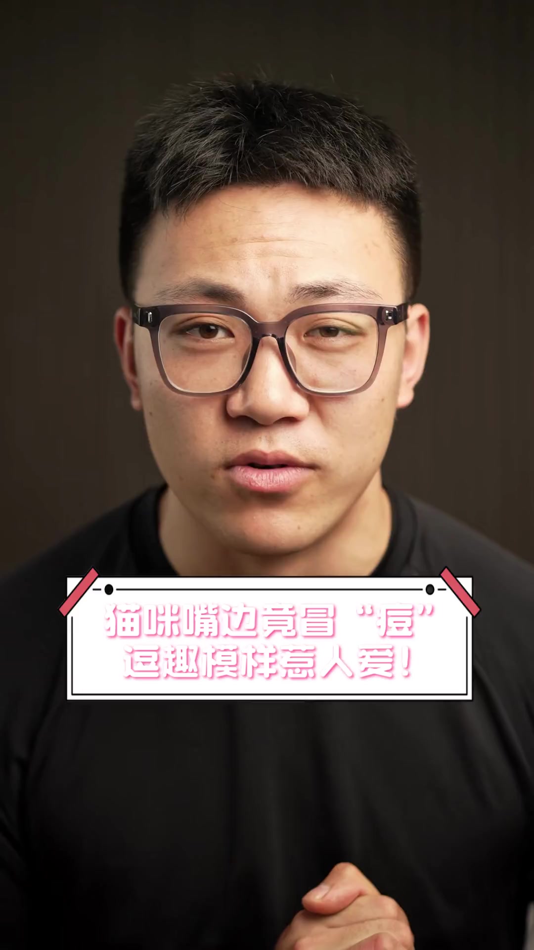 猫咪嘴边竟冒“痘”,逗趣模样惹人爱!