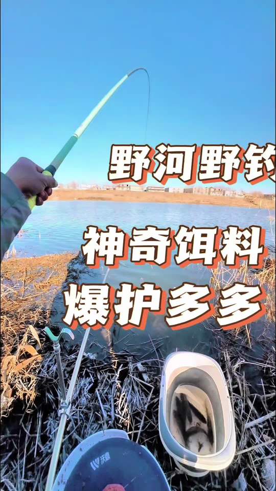 冬天钓鲫鱼爆护饵料冬天钓鲫鱼饵料就得大味型，这样才能钓的多