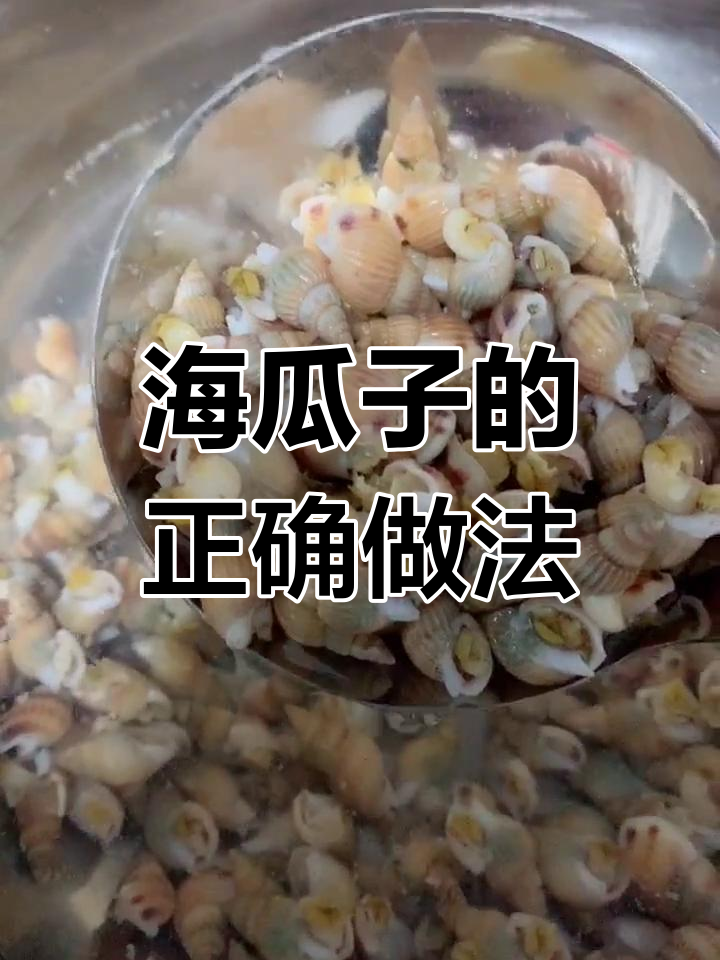 炒海瓜子秘诀:冷水下锅,肉质鲜嫩不老