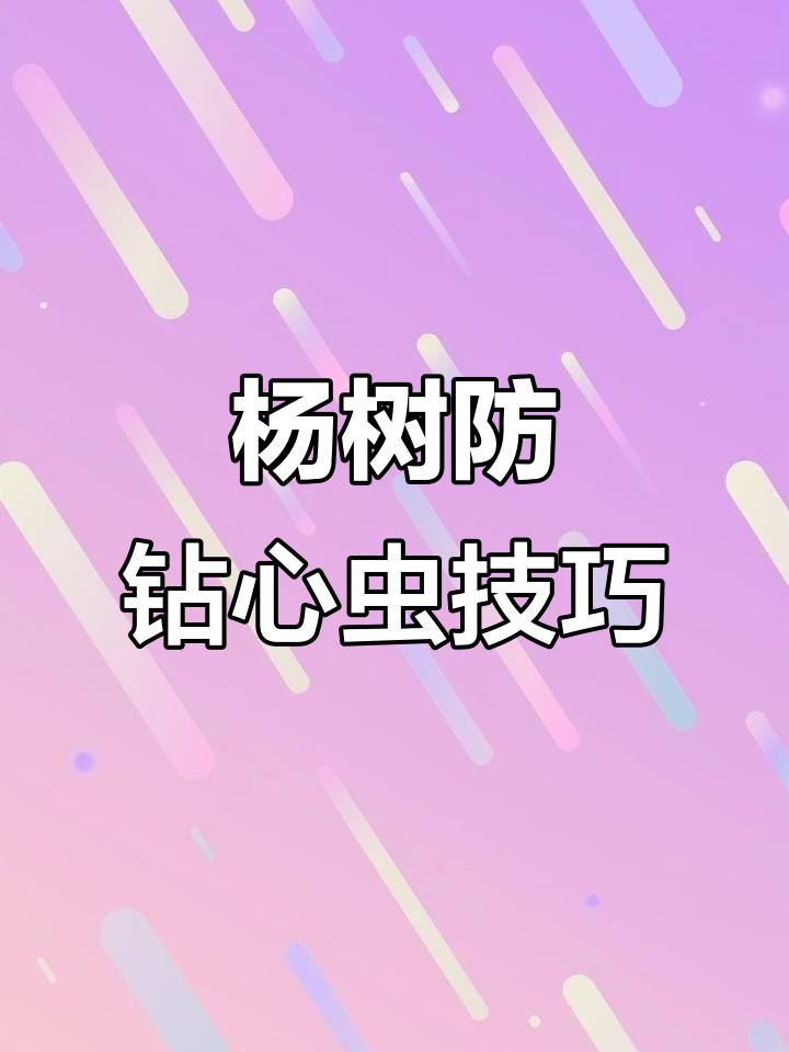 杨树钻心虫防治全攻略,轻松搞定林木危害