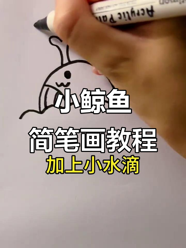轻松画出可爱小鲸鱼,步骤简单又有趣