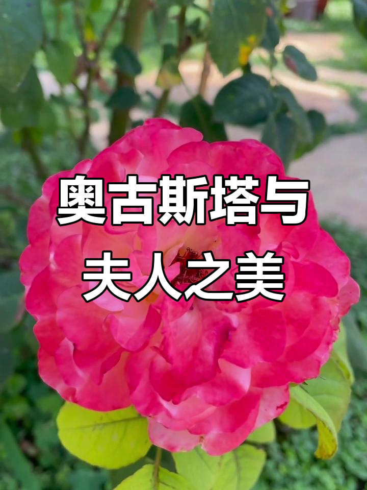 2025年6月23日，奥古斯塔与罗斯柴尔德男爵夫人的美丽邂逅