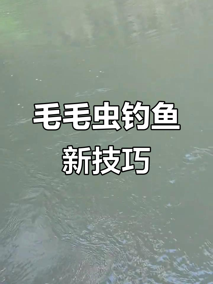 毛毛虫钓洋鱼,溪流狂口连连