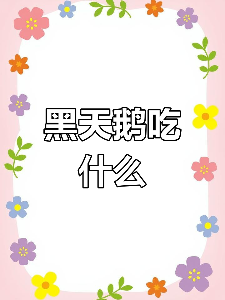 黑天鹅的饮食习惯与饲养技巧