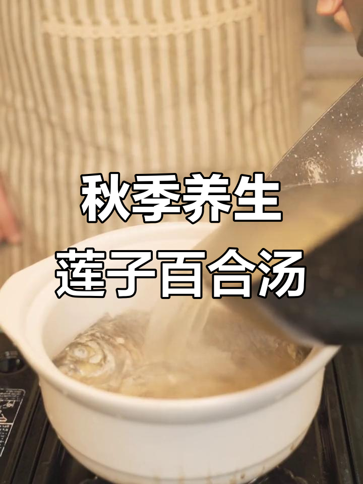 秋日温暖汤品,莲子百合鲈鱼汤滋补家人
