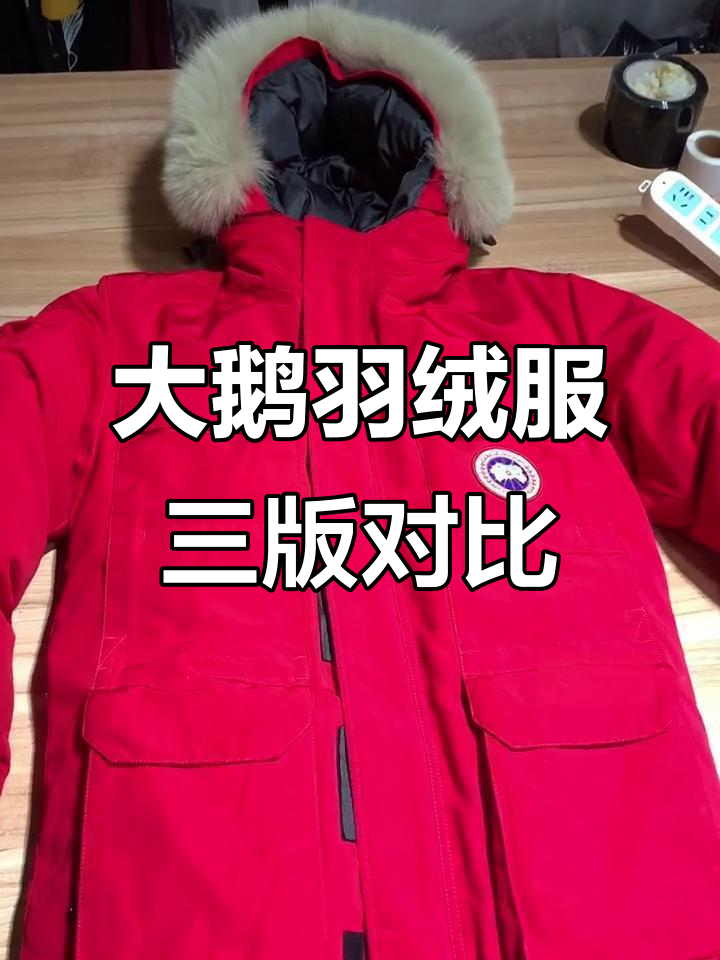 三个版本大鹅羽绒服对比，哪个最值得买？
