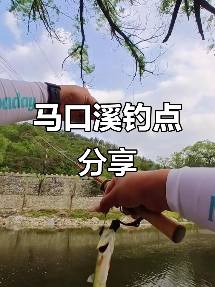 马口溪哥雅罗鱼钓点大揭秘,钓鱼爱好者必看!