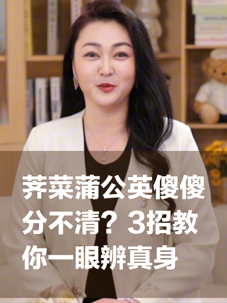 荠菜蒲公英傻傻分不清？3招教你一眼辨真身