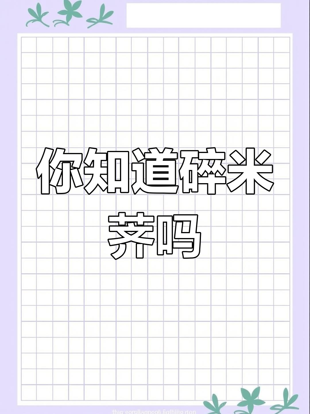 碎米荠:一种常见却容易被忽视的野菜,你了解吗?