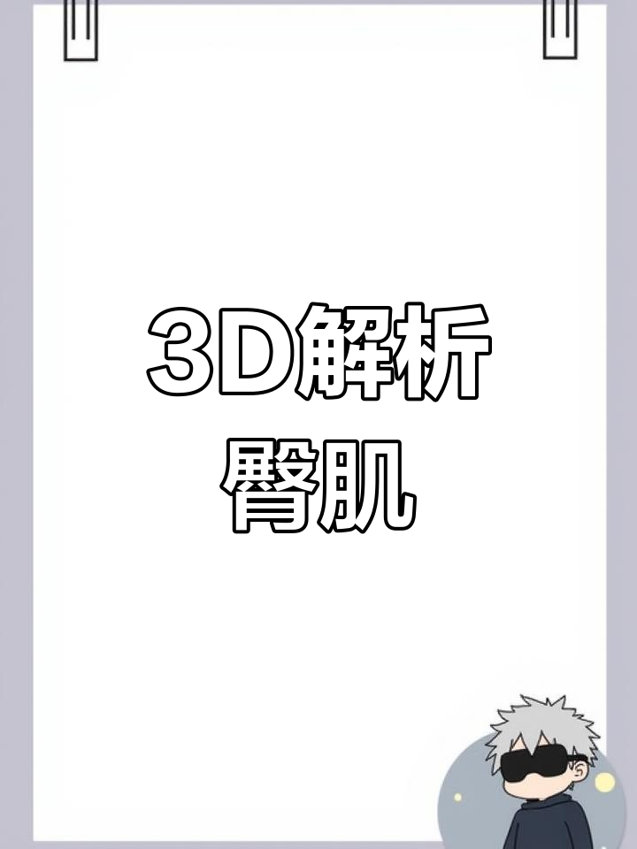 了解臀部肌肉结构,3D解剖让你轻松拆分与探索!