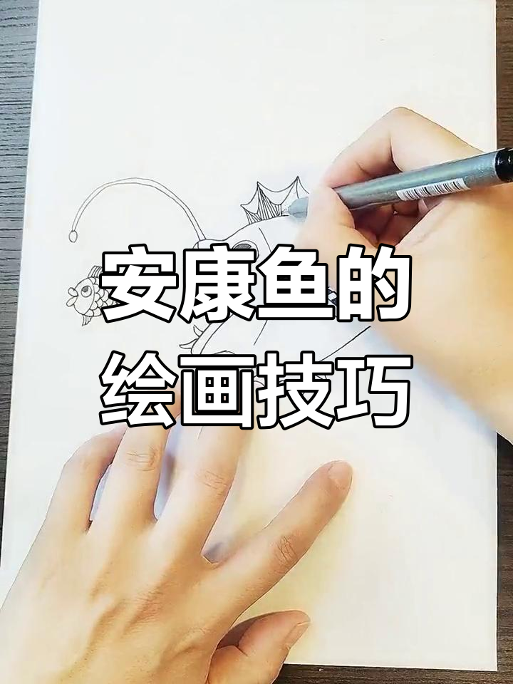 绘制安康鱼:从铅笔到线条的艺术过程