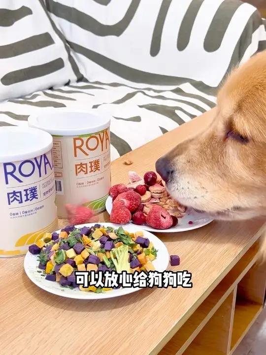 终于让我挖到狗狗宝藏零食,肉璞家的冻干果蔬桶。拌在狗粮里吃,狗狗摄入营养更加全面#狗狗零食