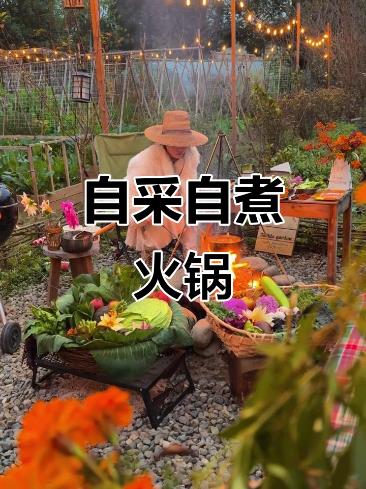 菜园火锅大揭秘,40种蔬菜现摘现涮