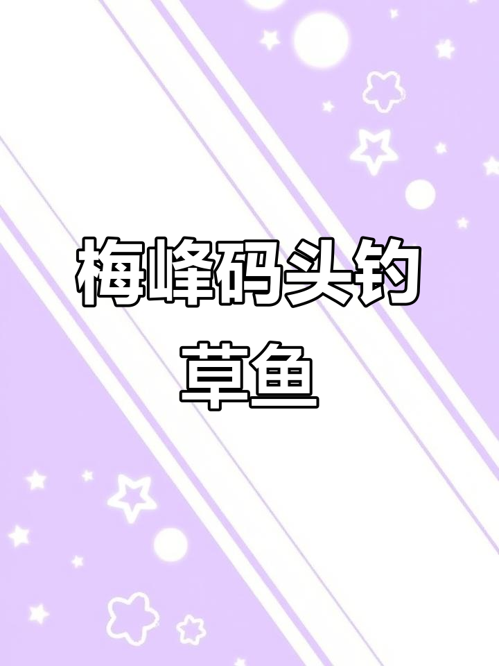 6月蔡甸梅峰码头钓鱼攻略,汉江鱼情大揭秘
