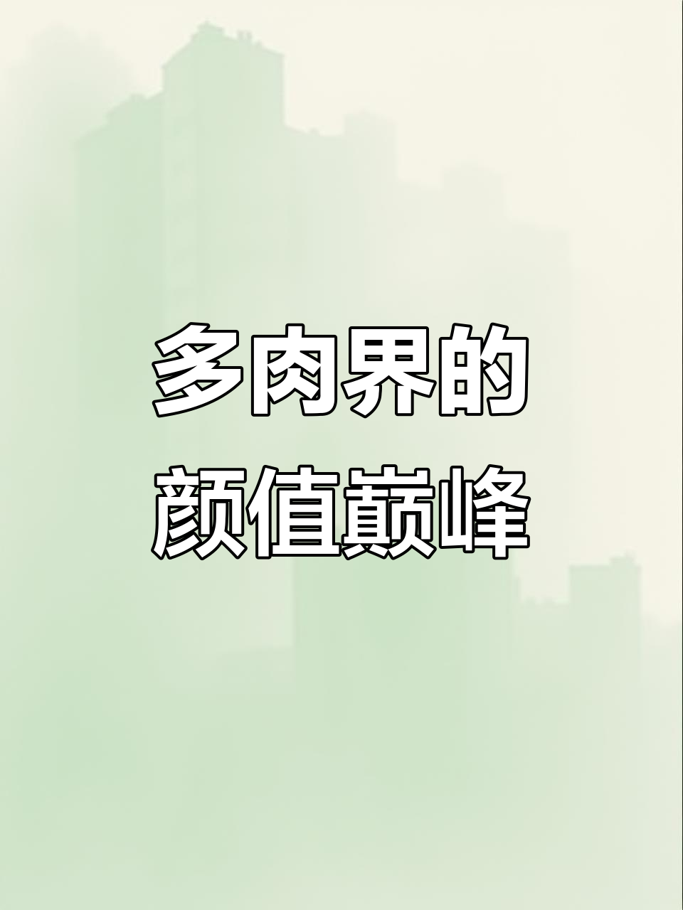 像糖果一样的多肉,美丽又耐造,懒人必备!