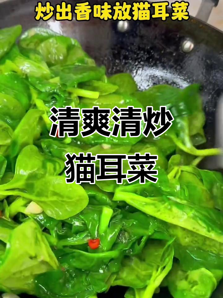 清炒猫耳菜，简单又美味，减脂家常做法