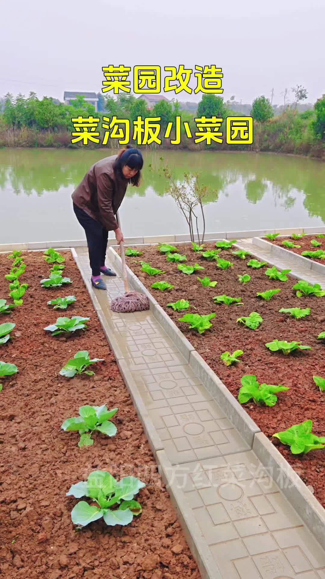 菜园 我的田园生活 菜沟板 院子改造 别墅花园设计