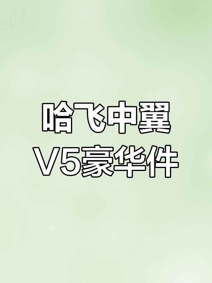 哈飞中翼V5配件揭秘,微型车中的“劳斯莱斯”