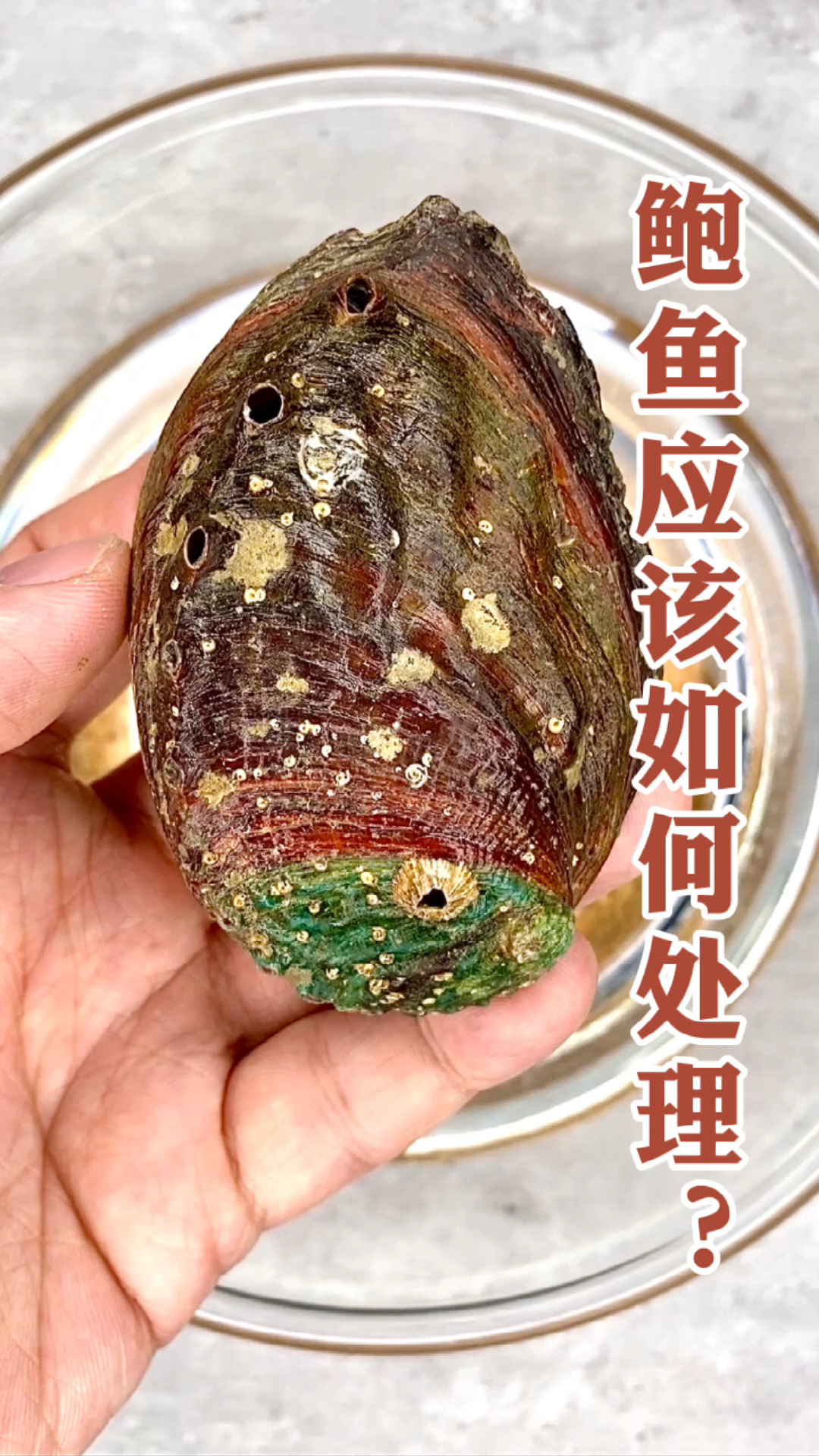 鲍鱼应该怎么清洗处理?