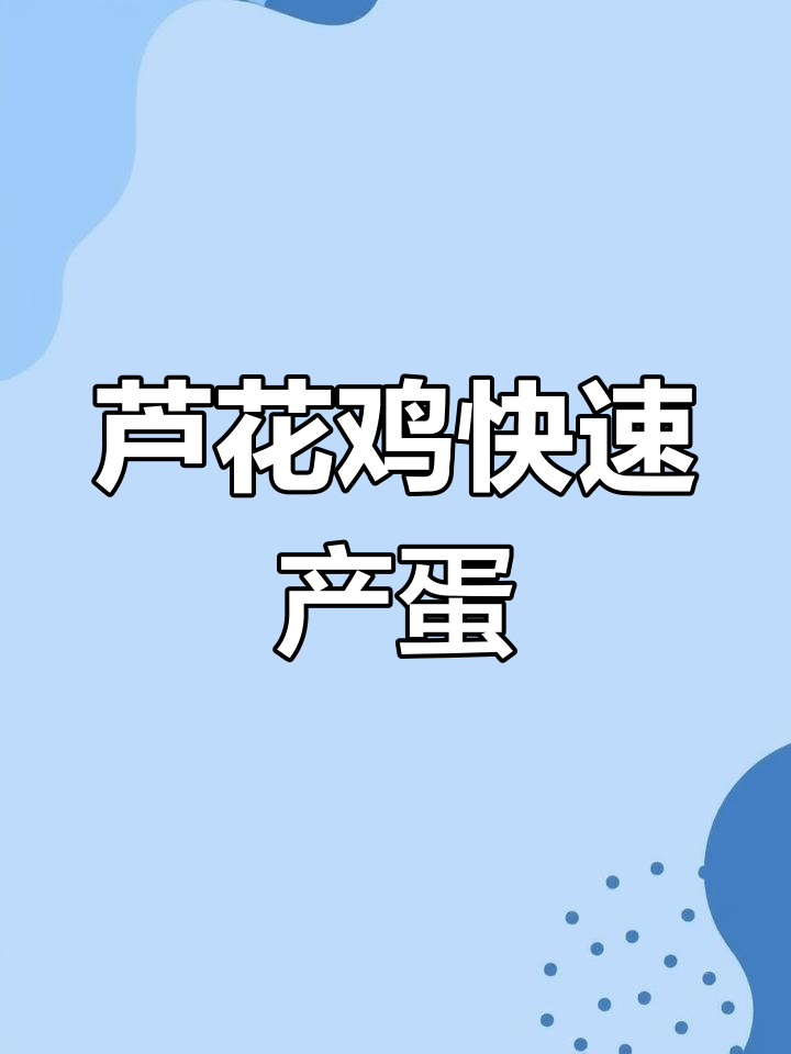芦花鸡20天就能产蛋,公母搭配最合适