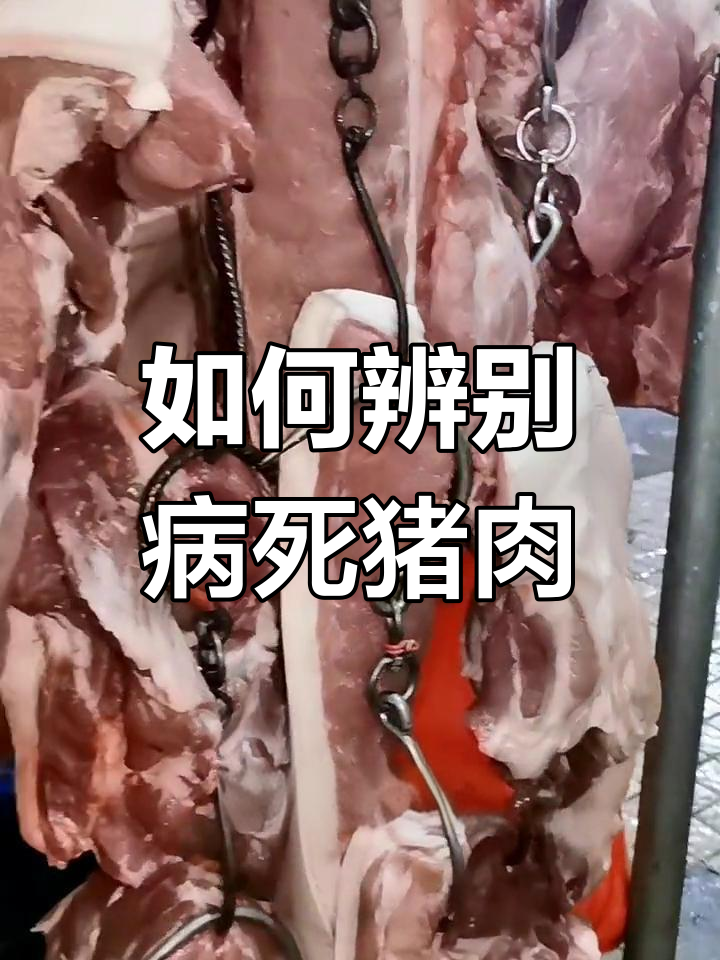 病死猪肉的危害与识别方法