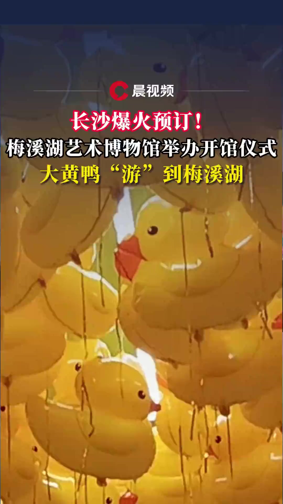 长沙爆火预订!梅溪湖艺术博物馆举办开馆仪式,大黄鸭“游”到梅溪湖