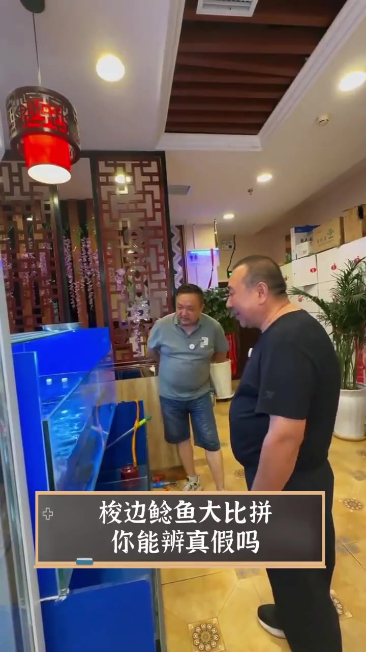 梭边鲶鱼大比拼,你能辨真假吗