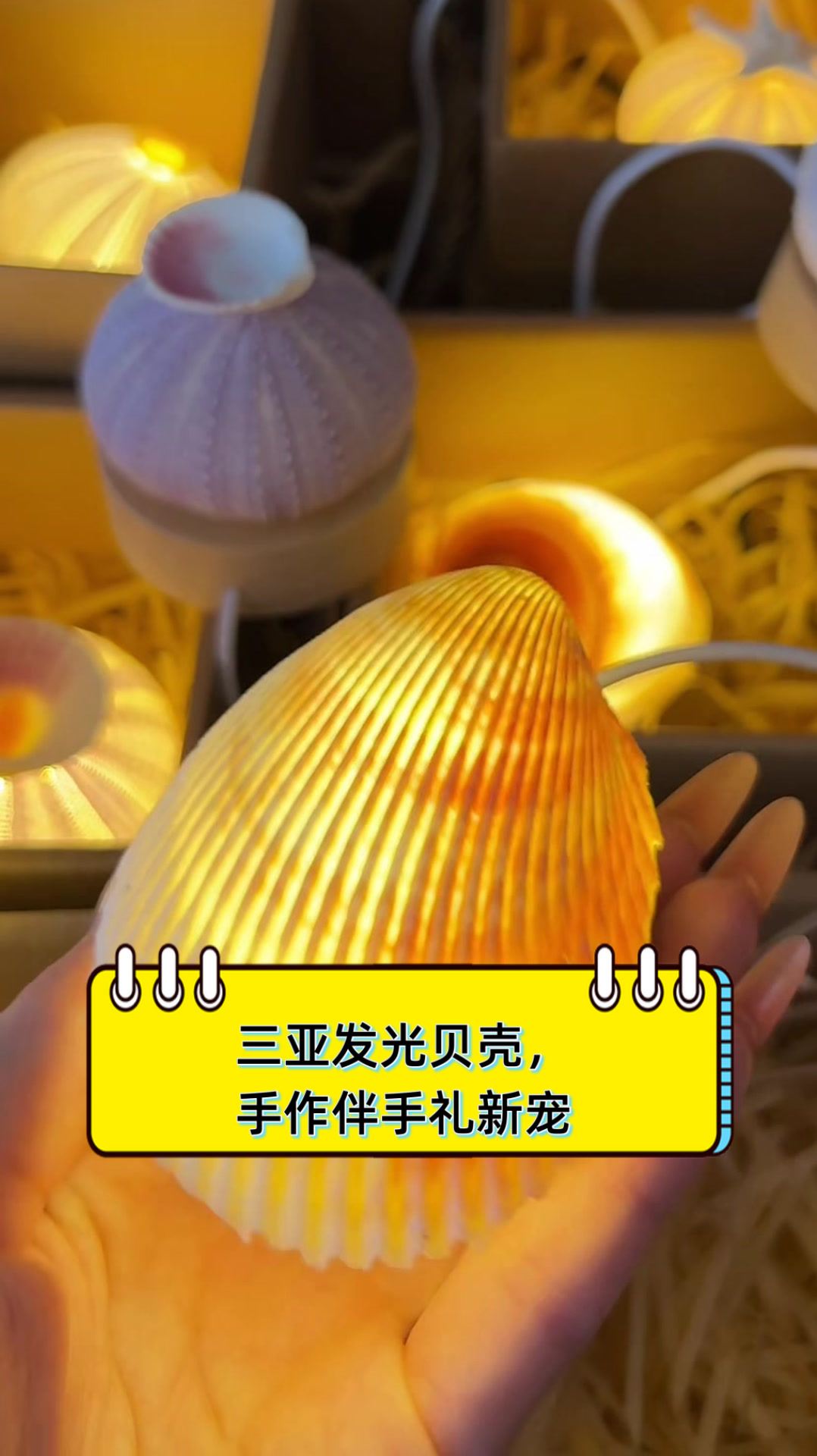 三亚发光贝壳,手作伴手礼新宠