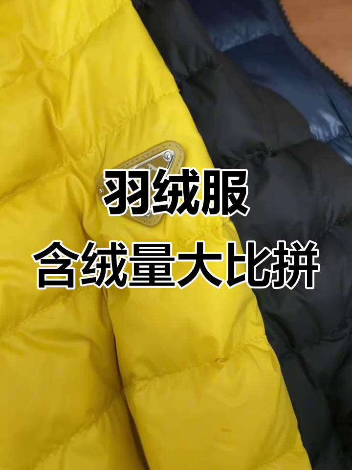 羽绒服选鹅绒还是鸭绒?四大品牌对比揭秘