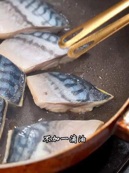 你知道渔民们是如何捕捞大西洋鲭鱼的吗