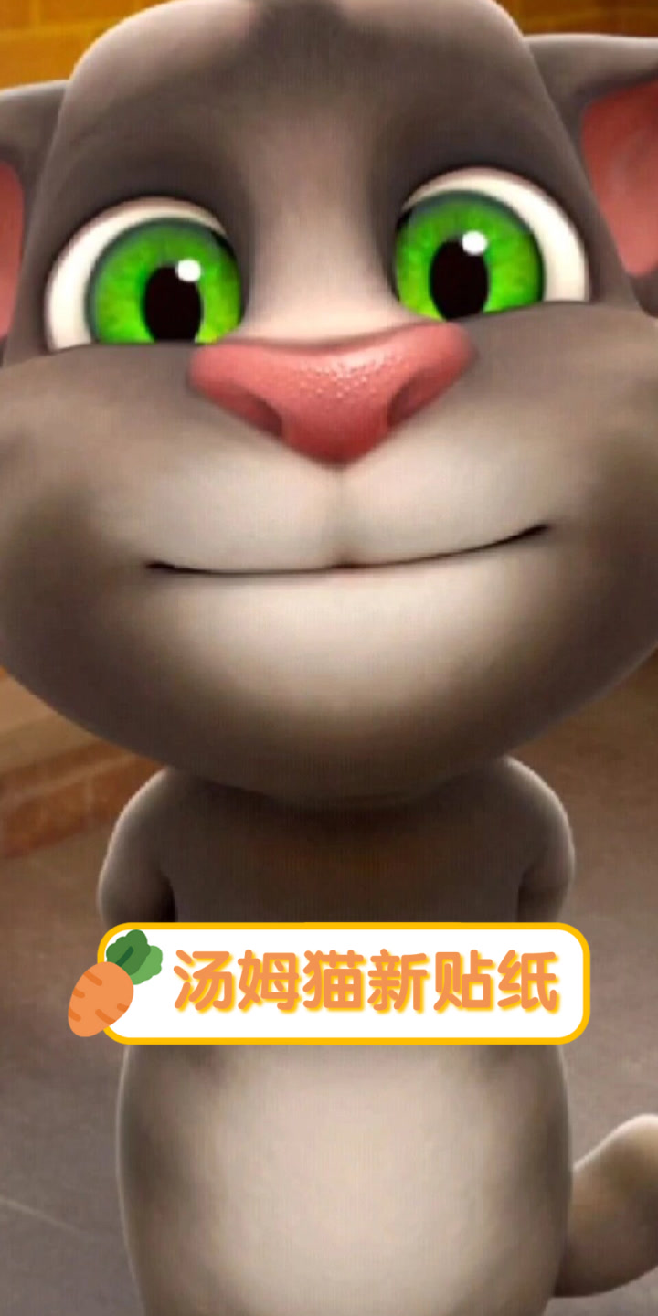 汤姆猫新贴纸