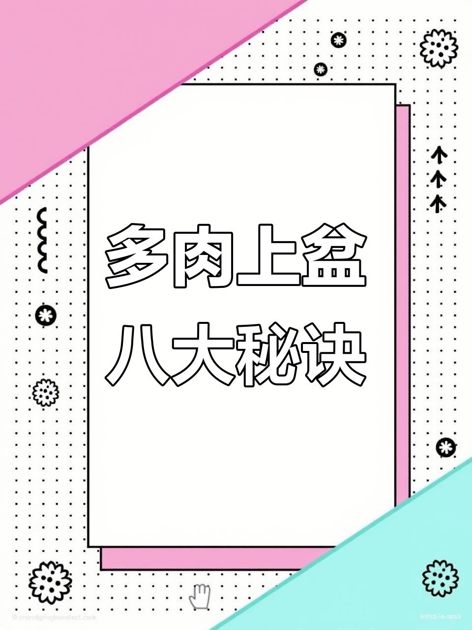 8个技巧让多肉快速服盆，新手必学养护方法