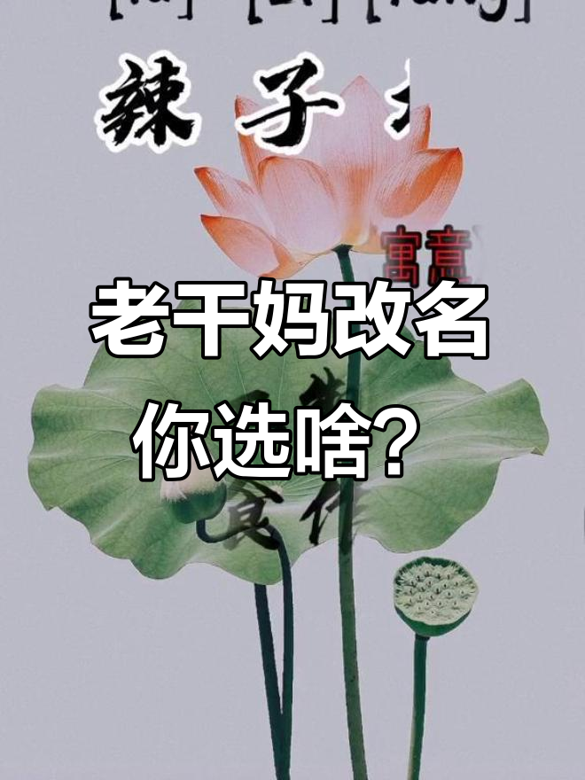 如果老干妈改名,你会选什么名字?快来投票!