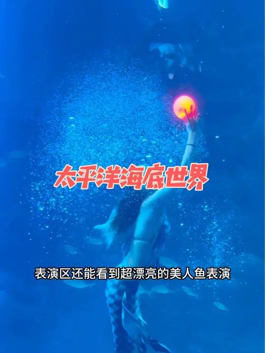 太平洋海底世界夜场票来啦 北京带孩子去哪玩 暑假带娃去北京 北京太平洋海底世界 北京海洋馆