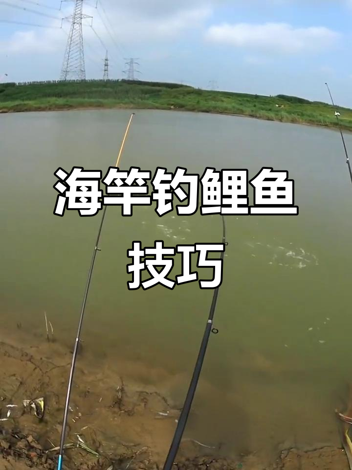 用海竿钓鲤鱼,大鲤接连上钩,技巧全揭秘