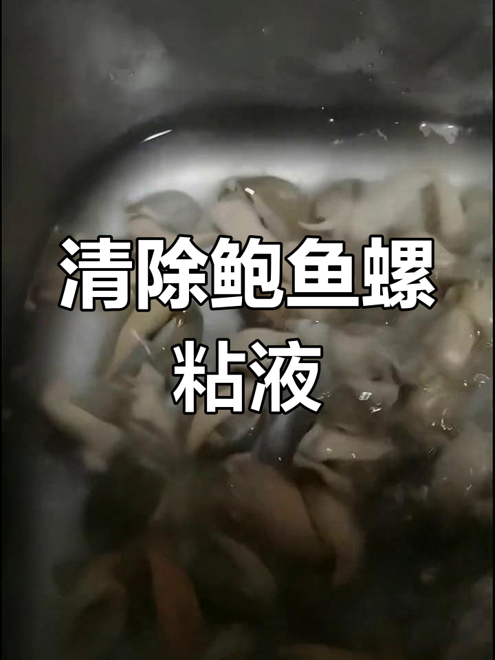 清除鲍鱼螺粘液,面粉、食盐轻松搞定!
