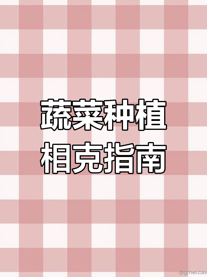 蔬菜种植中的那些“禁忌”,哪些菜不能一起种?
