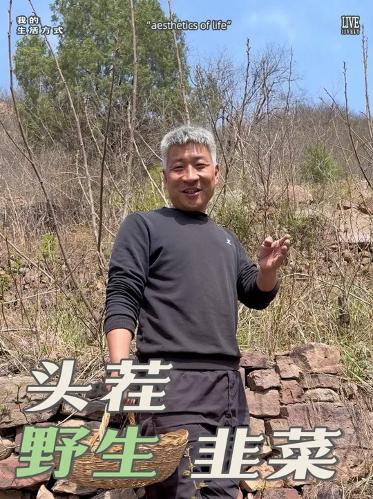 你吃过野韭菜吗?大山里头茬野生韭菜来咯……