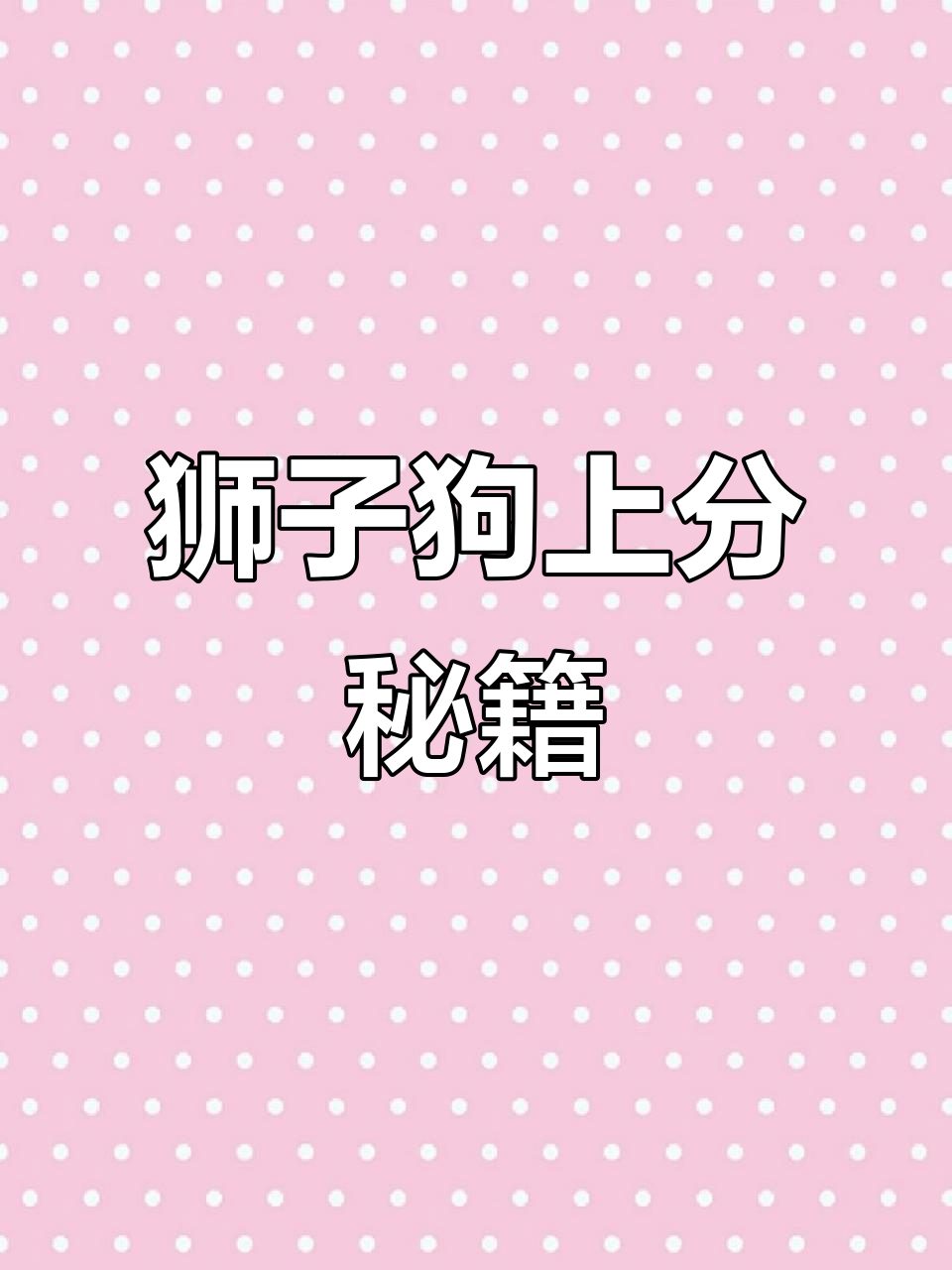 掌握狮子狗，轻松上分！出装与玩法全解析！